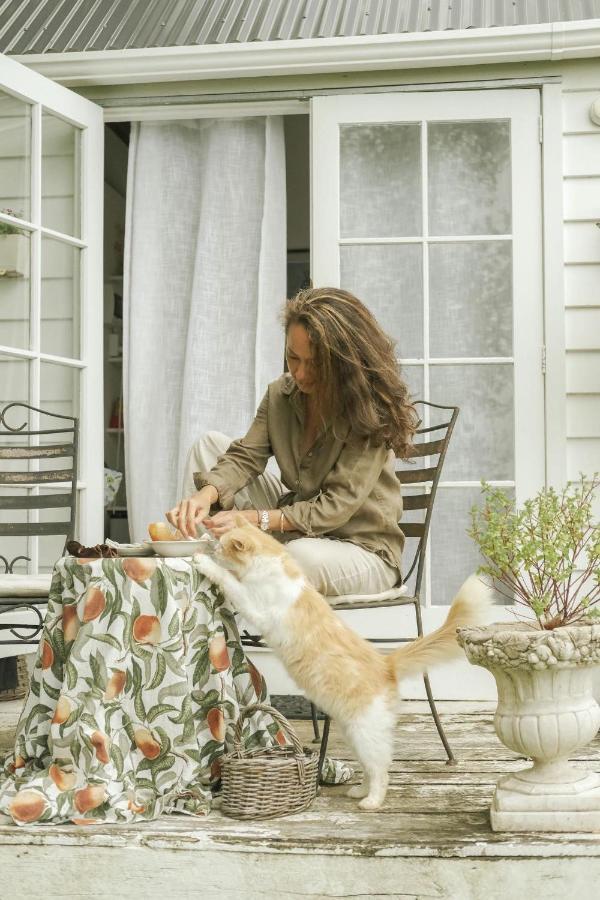 Thistle And Pine Cottage Farmstay ตาอูรังกา ภายนอก รูปภาพ